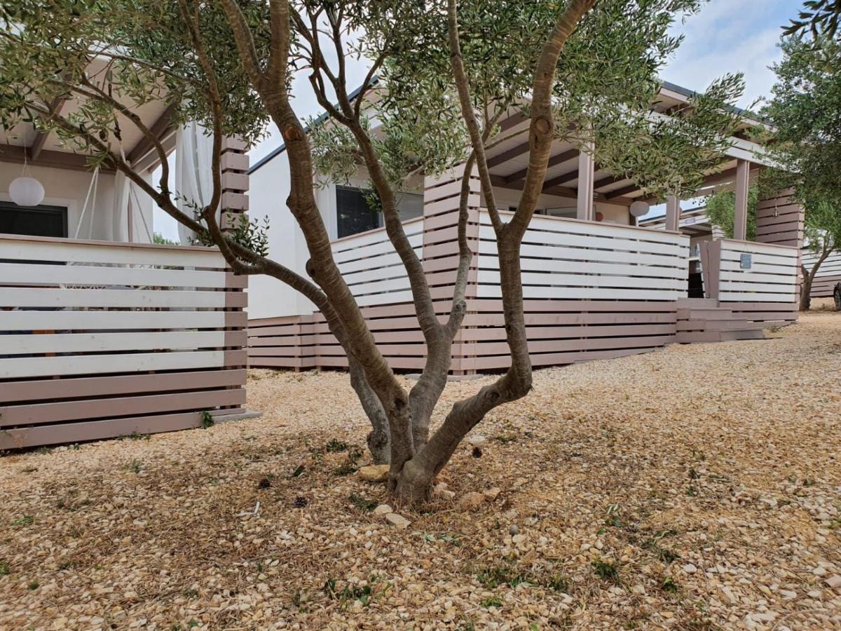 Mobile Home M&M دراغ المظهر الخارجي الصورة
